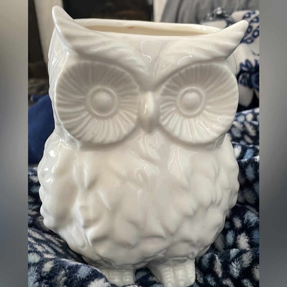🆕Owl Vase🔆